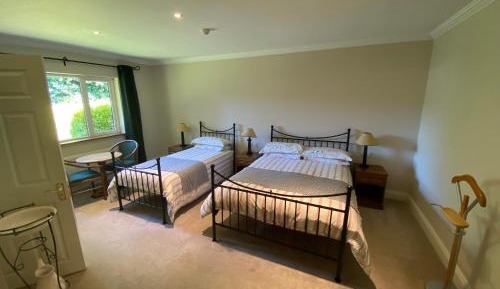 Deluxe Double or Twin Room