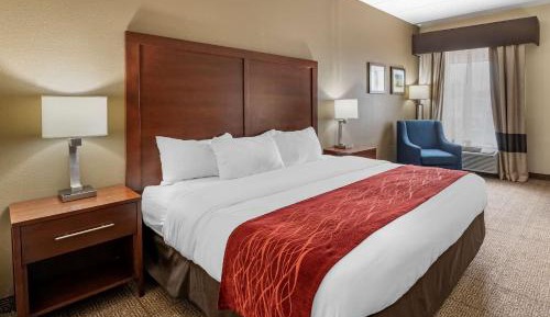 King Room - Non-Smoking