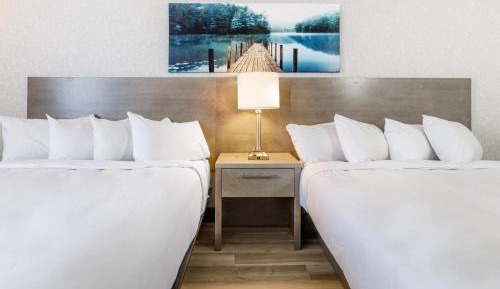 Executive Queen Room with Two Queen Beds