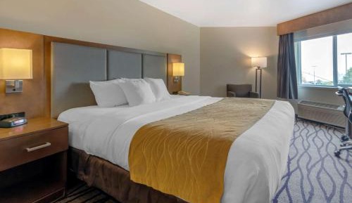 King Room - Non-Smoking