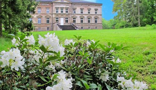 One-Bedroom Holiday Home
