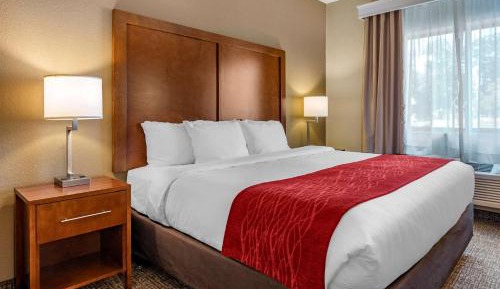 King Suite - Non-Smoking