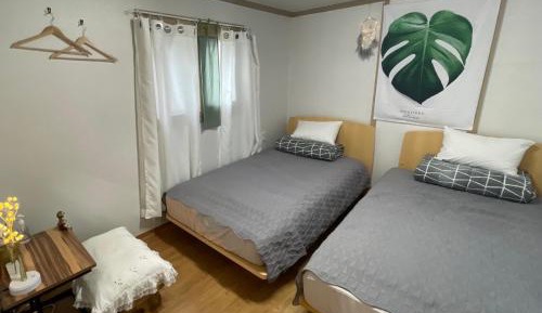 Single Bed in Female Dormitory Room