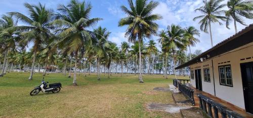 Standard Triple Studio