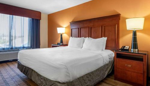 King Suite with Sofa Bed