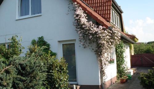 Standard Apartment 2