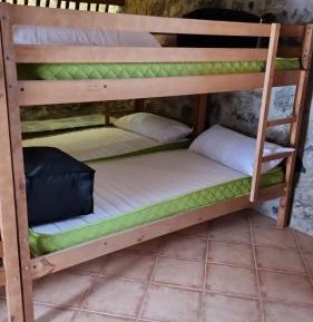 Bunk Bed in Mixed Dormitory Room