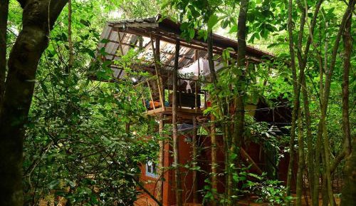  Cozy Tree House