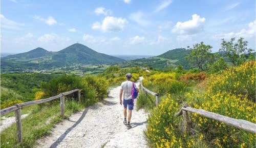 One-Bedroom Holiday Home