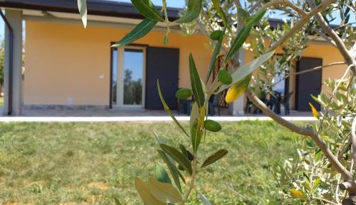 Apartment with Garden View