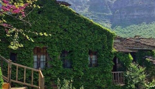 Standard Villa
