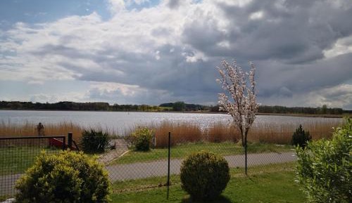 Studio with Lake View