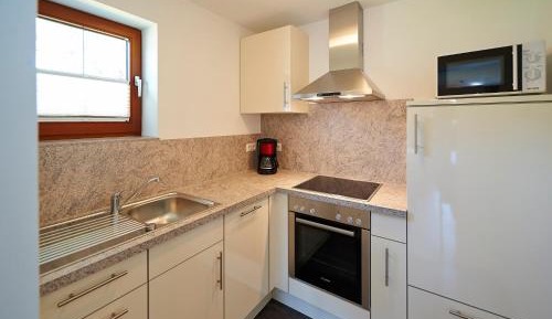 Large One-Bedroom Apartment with Balcony