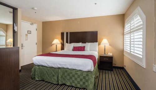 King Room - Non-Smoking