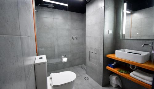 Deluxe Twin Room - Downstairs