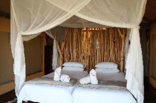 Luxury Chalet