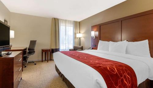 Standard King Room - Non-Smoking 