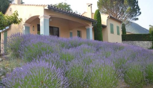 Three-Bedroom Villa (6 People)