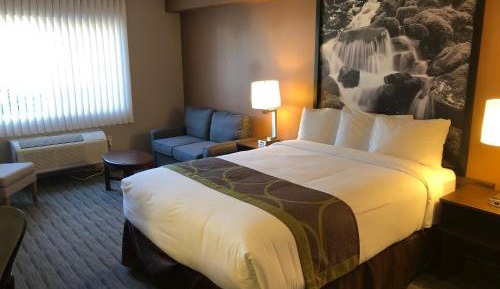 King Room - Mobility Access/Non-Smoking