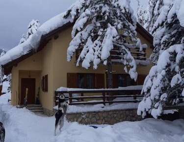 Vacation Home