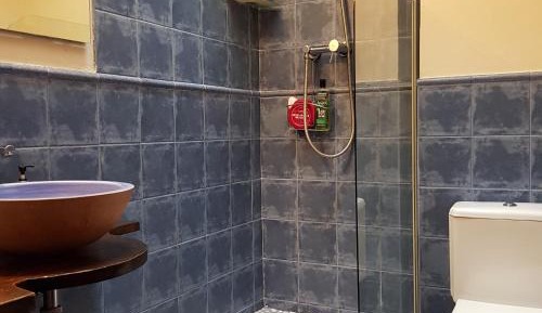 Twin Room with Shower
