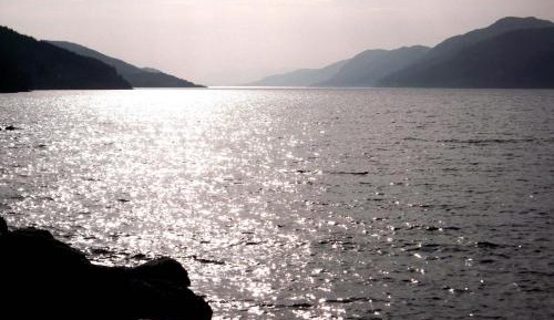 Double Room with Forest View