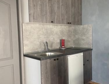 One-Bedroom Apartment with Sofa Bed