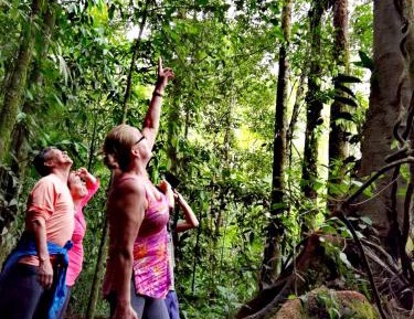 Queen Room with Garden View