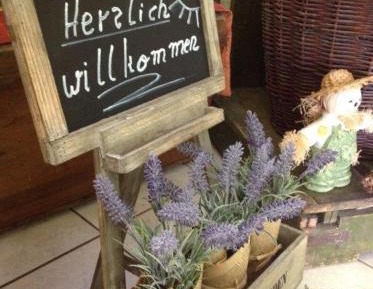 Single Room with Balcony