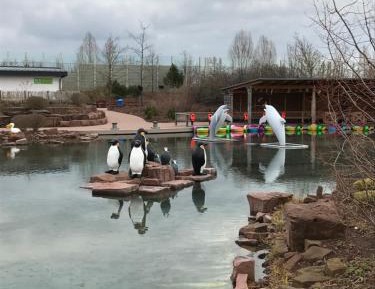 Playmobil Package in Family Room