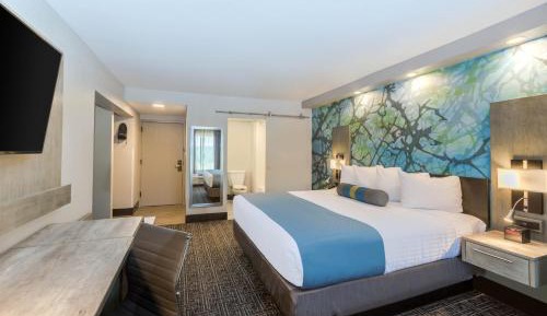 King Room - Non-Smoking