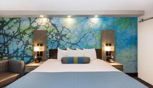 King Room - Mobility Access/Non-Smoking