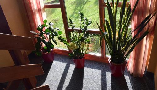 One-Bedroom Apartment with Balcony