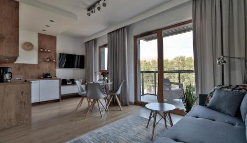 Superior Apartment with River view