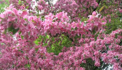 Double Room with Extra Bed and Shared Bathroom