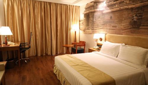 Deluxe Twin / King Room 