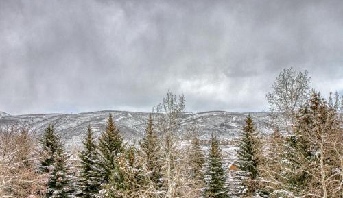 Two Bedroom Apartment 