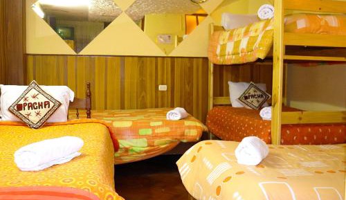 Bed in 6-Bed Dormitory Room