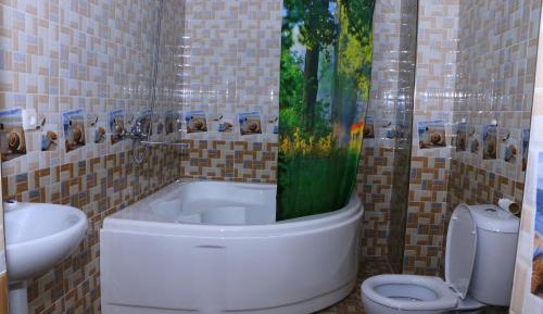 Family Room with Bathroom