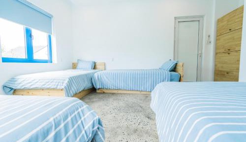 4-Bed Mixed Dormitory Room