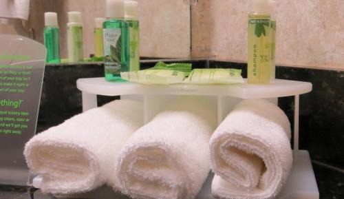 Standard King Room with Sofa Bed