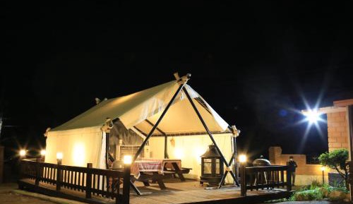 Bunk Bed in Mixed Dormitory Room