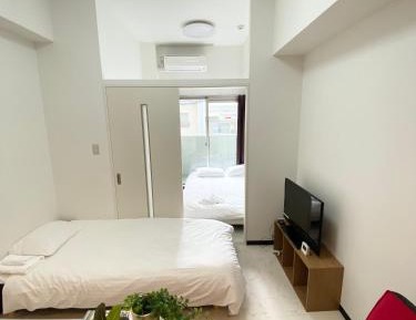 Apartment with Balcony 301