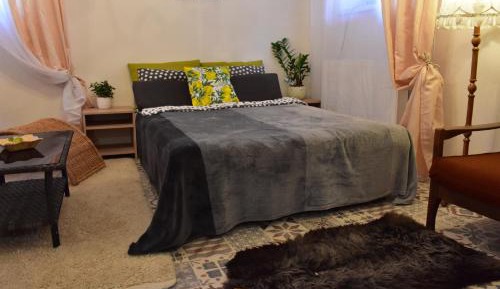 Family Studio in Basement