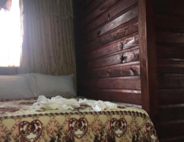 Deluxe Double or Twin Room with City View