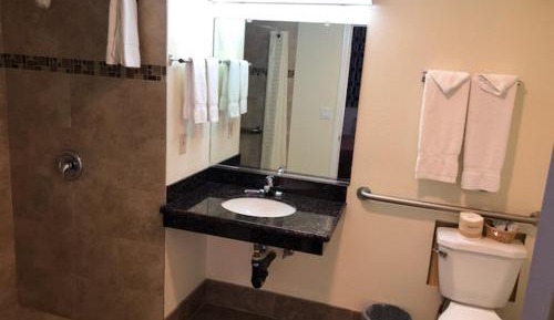 Single Room - Disability Access