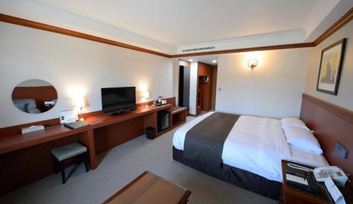 Superior Double Room with Mountain View