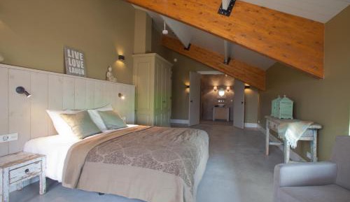 Deluxe Double or Twin Room with Bath