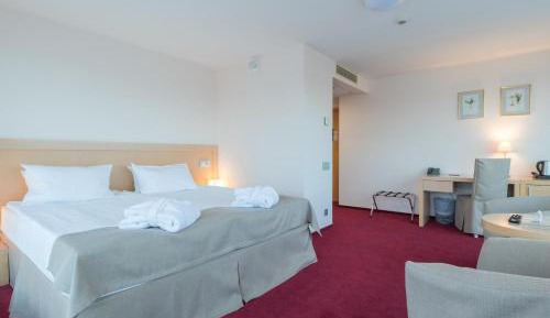 Deluxe Double Room with Gym Access