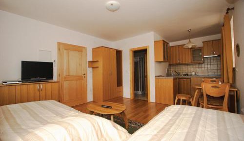 Double or Twin Studio